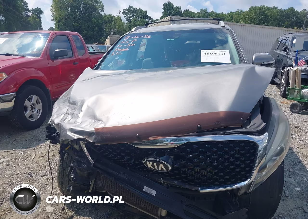 2017 Kia Sorento 2.0T Ex VIN:5XYPH4A19HG289830 - 12