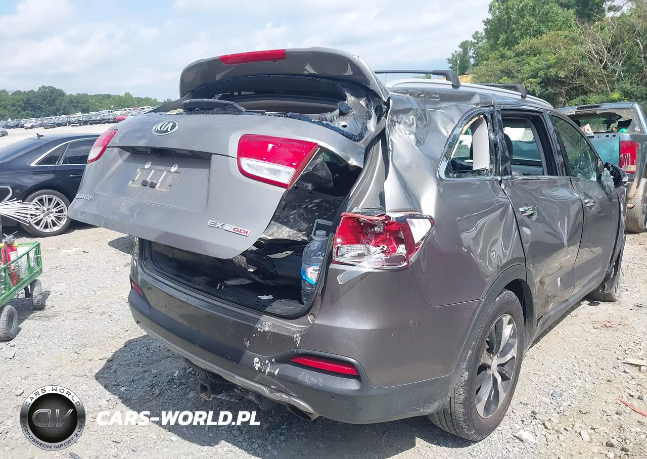 2017 Kia Sorento 2.0T Ex VIN:5XYPH4A19HG289830 - 4