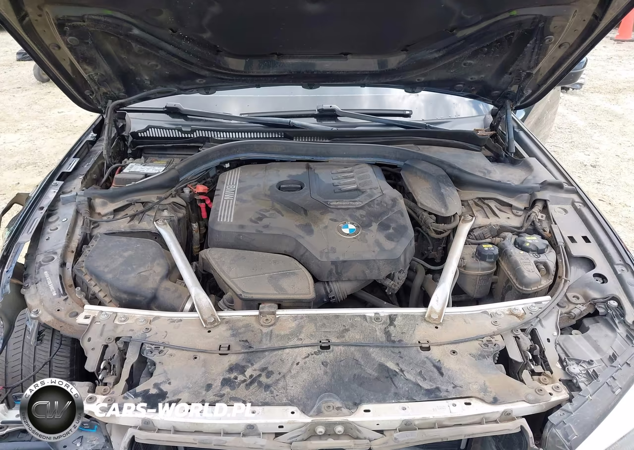 2020 BMW 530I xDrive VIN:WBAJR7C00LWW60276 - 10