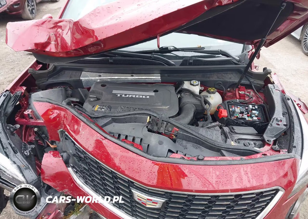 2019 Cadillac Xt4 Premium Luxury VIN:1GYFZDR42KF161943 - 10