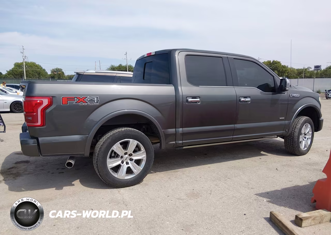 2015 Ford F-150 King Ranch-Lariat-Platinum-Xl-Xlt VIN:1FTEW1EGXFFC94867 - 13