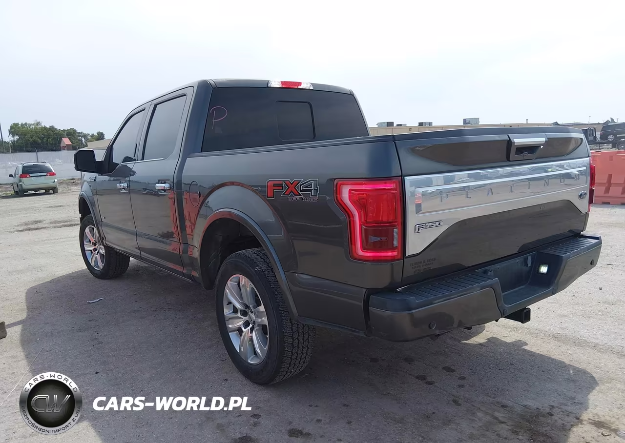2015 Ford F-150 King Ranch-Lariat-Platinum-Xl-Xlt VIN:1FTEW1EGXFFC94867 - 3