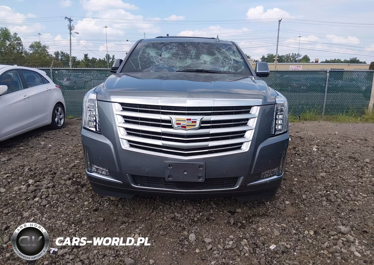 2019 Cadillac Escalade Platinum VIN:1GYS4DKJ1KR343547 - 12