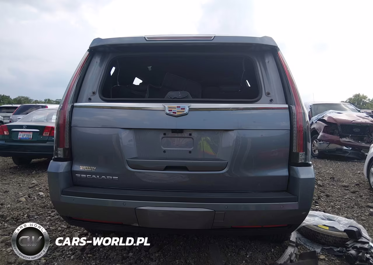2019 Cadillac Escalade Platinum VIN:1GYS4DKJ1KR343547 - 16