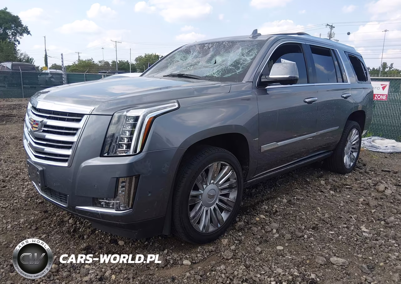 2019 Cadillac Escalade Platinum VIN:1GYS4DKJ1KR343547 - 2