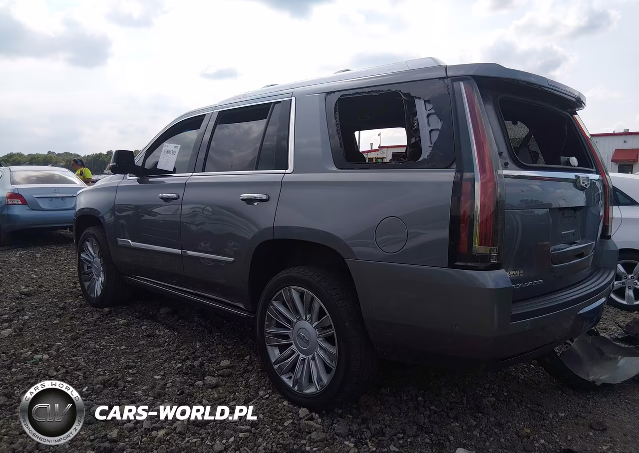 2019 Cadillac Escalade Platinum VIN:1GYS4DKJ1KR343547 - 3