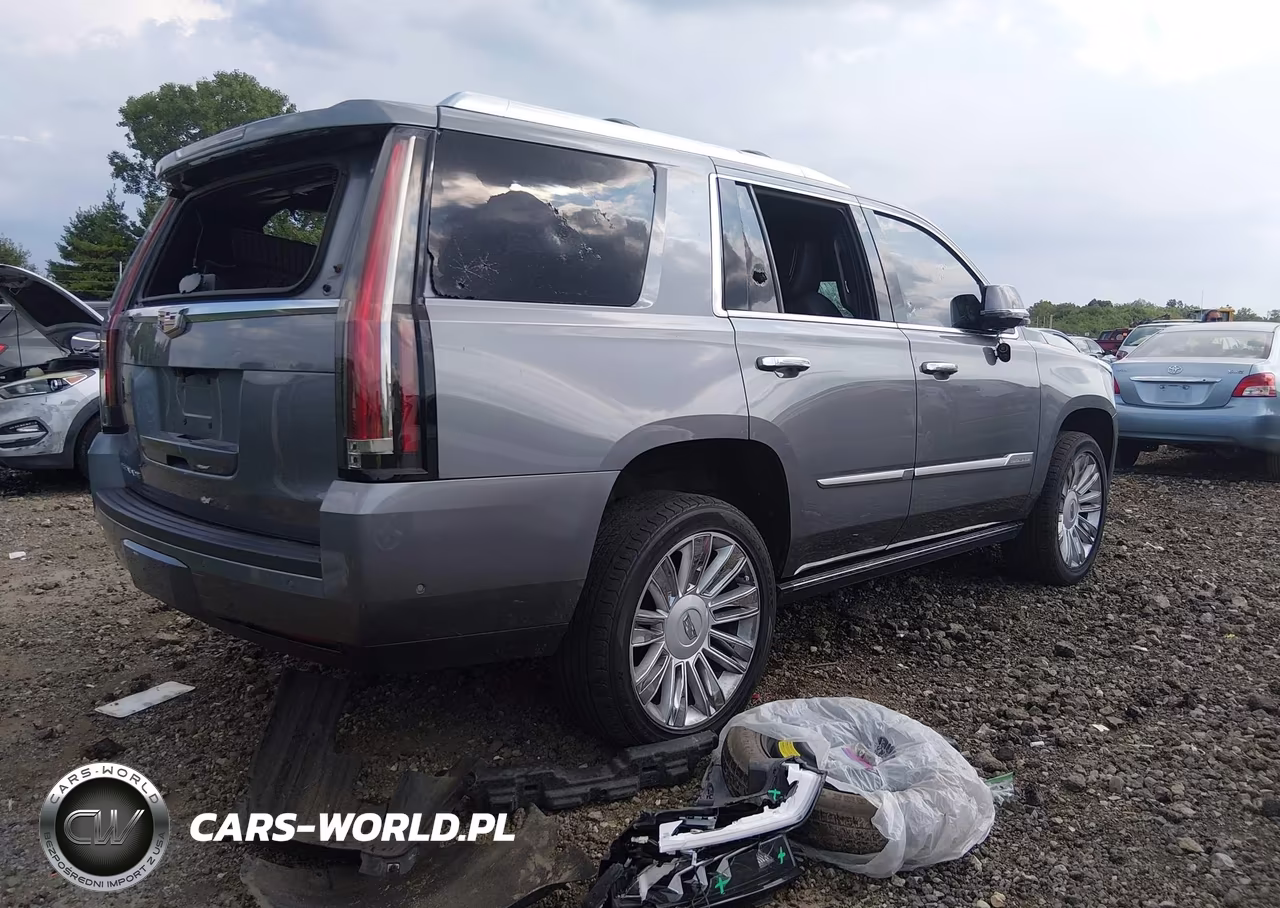 2019 Cadillac Escalade Platinum VIN:1GYS4DKJ1KR343547 - 4