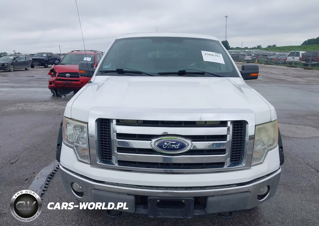 2009 Ford F-150 Xlt VIN:1FTPX14V89KC13611 - 12