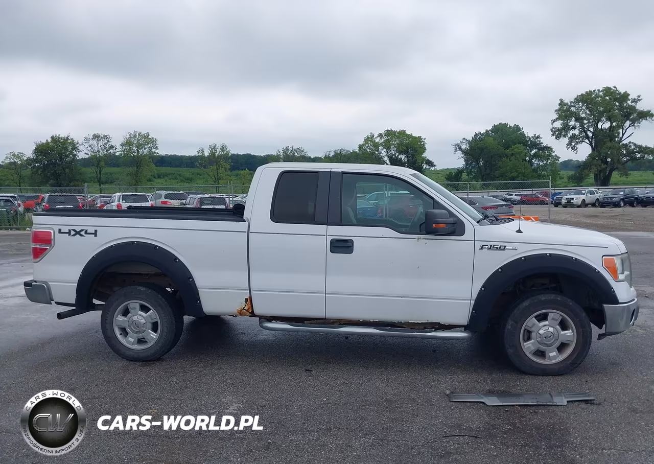 2009 Ford F-150 Xlt VIN:1FTPX14V89KC13611 - 13