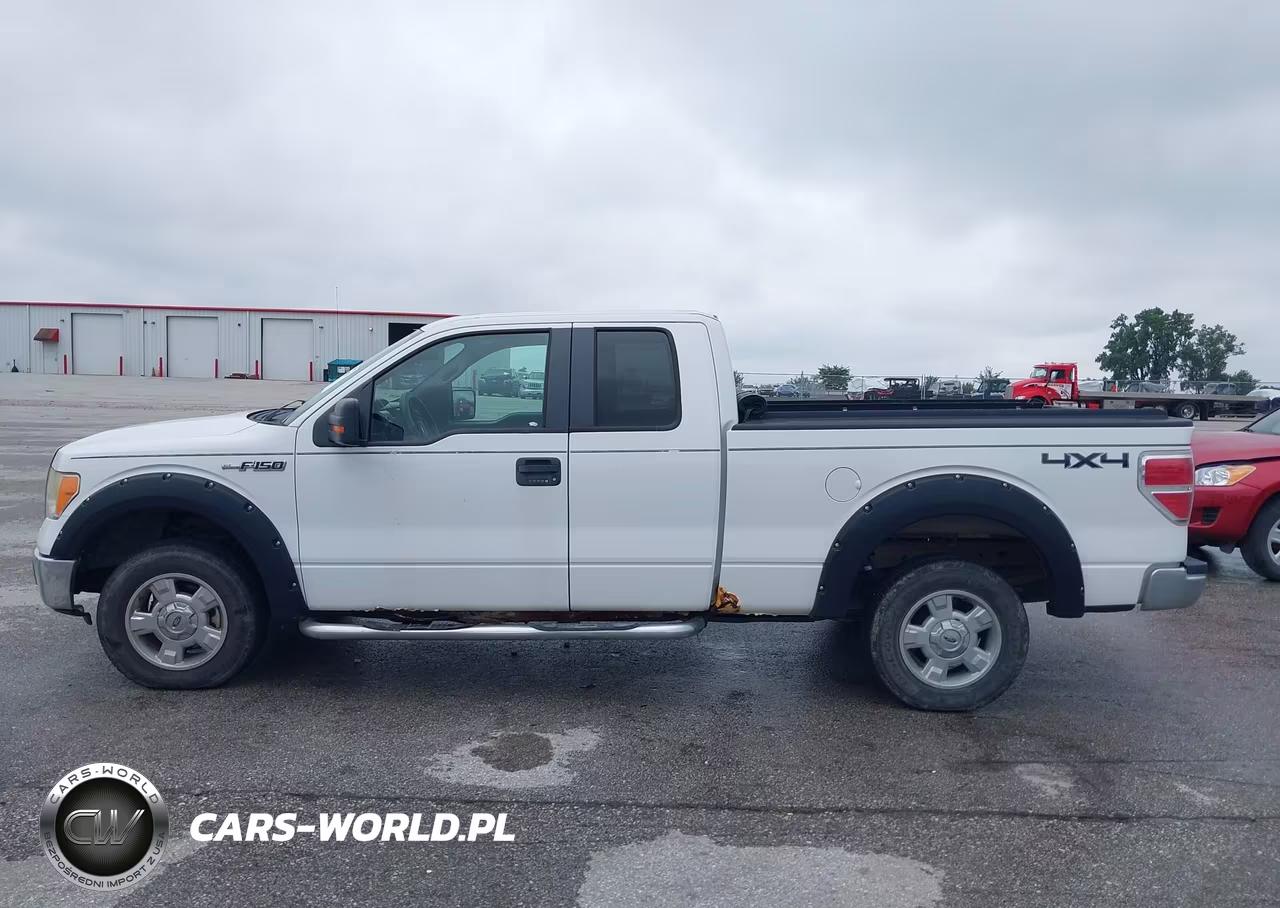 2009 Ford F-150 Xlt VIN:1FTPX14V89KC13611 - 14