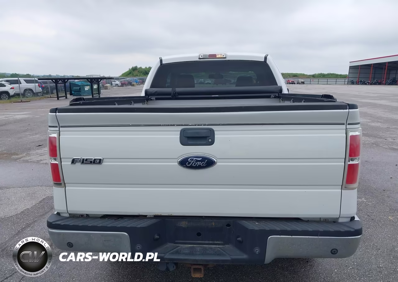 2009 Ford F-150 Xlt VIN:1FTPX14V89KC13611 - 16