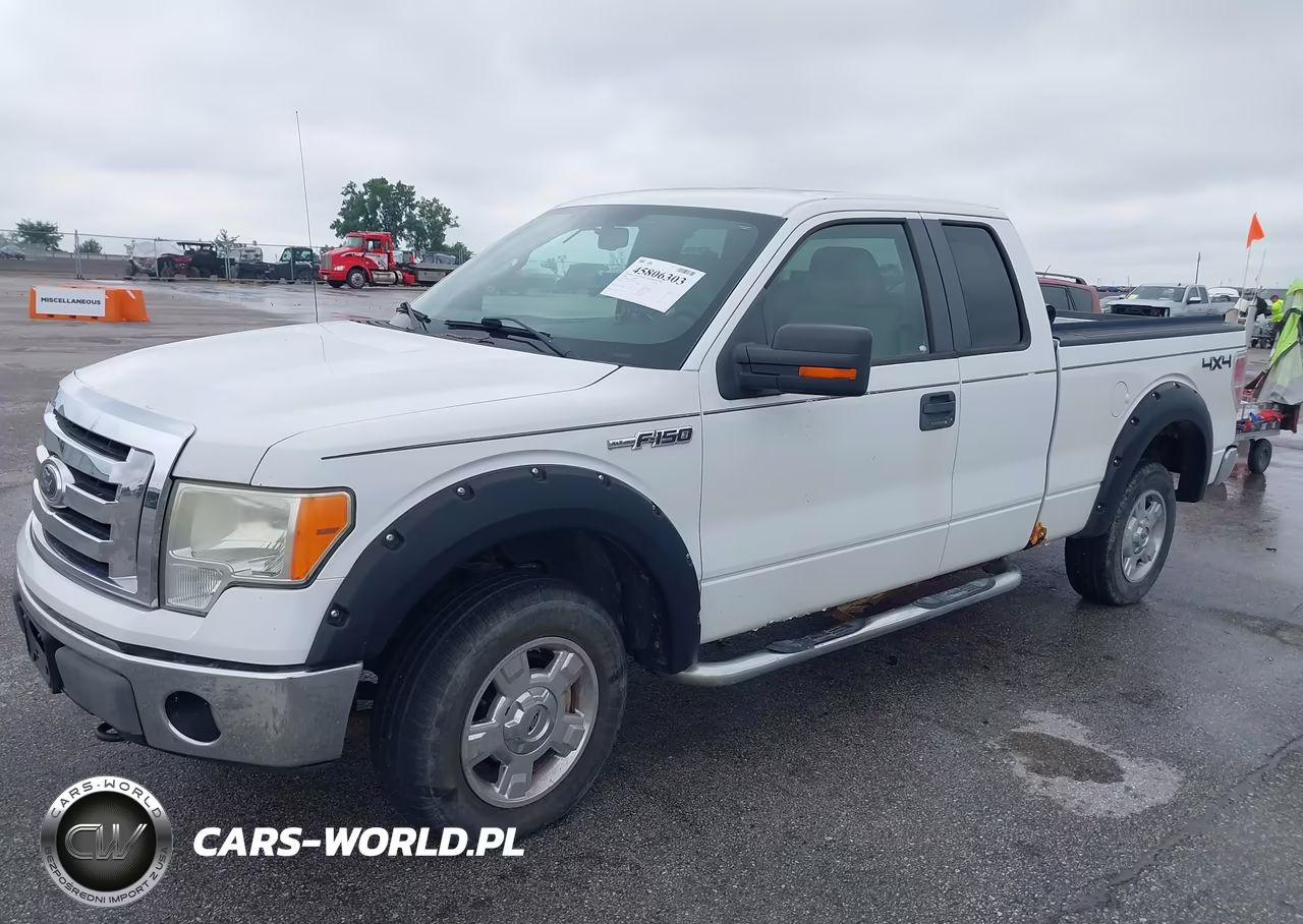 2009 Ford F-150 Xlt VIN:1FTPX14V89KC13611 - 2