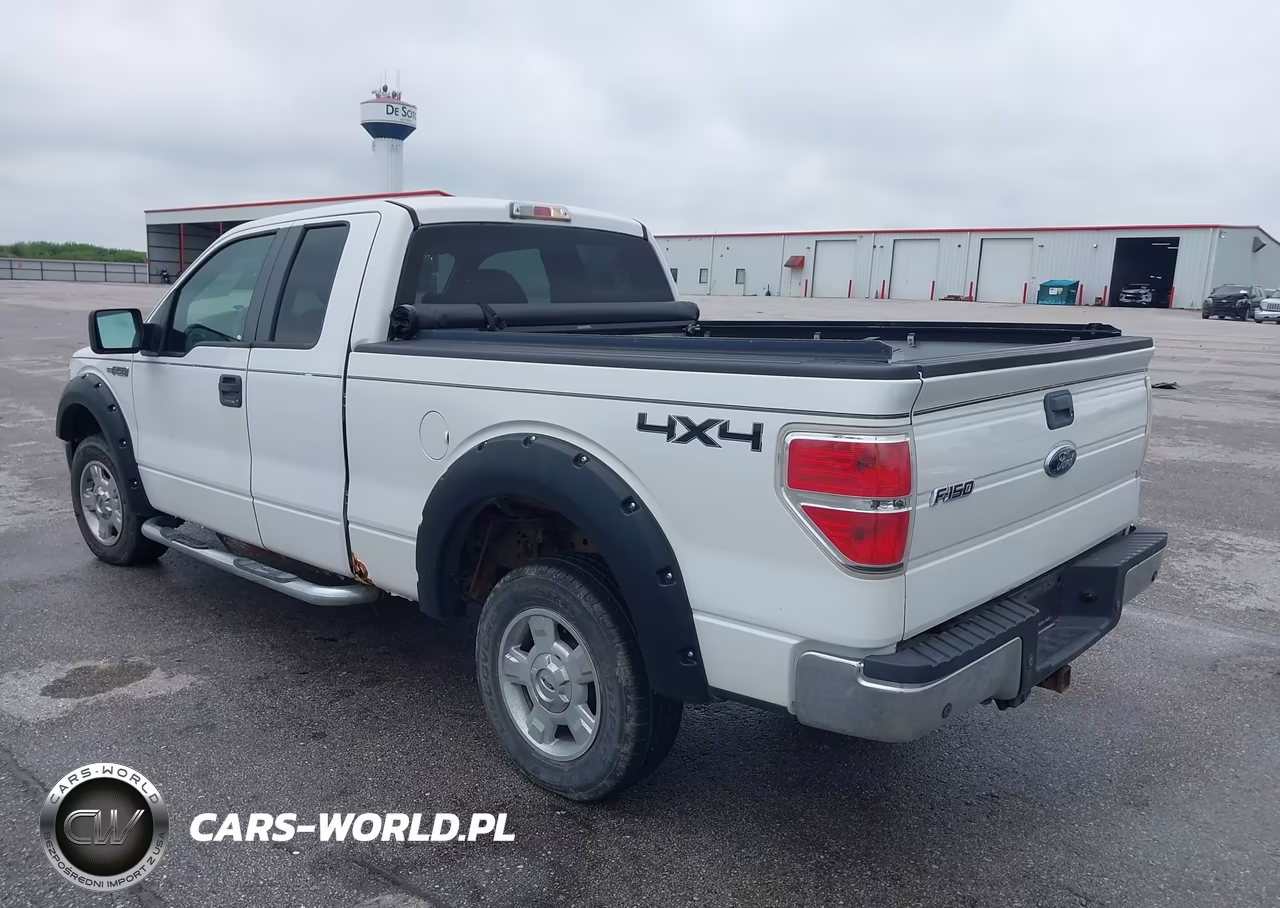 2009 Ford F-150 Xlt VIN:1FTPX14V89KC13611 - 3