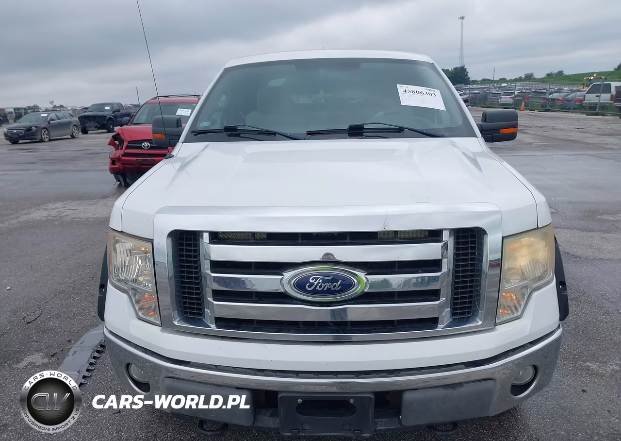 2009 Ford F-150 Xlt VIN:1FTPX14V89KC13611 - 6