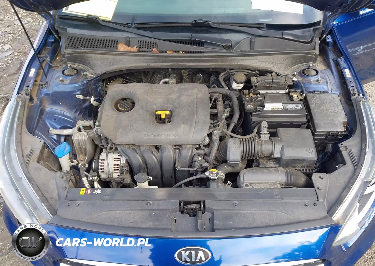 2019 Kia Forte Lxs VIN:3KPF24AD3KE013770 - 10