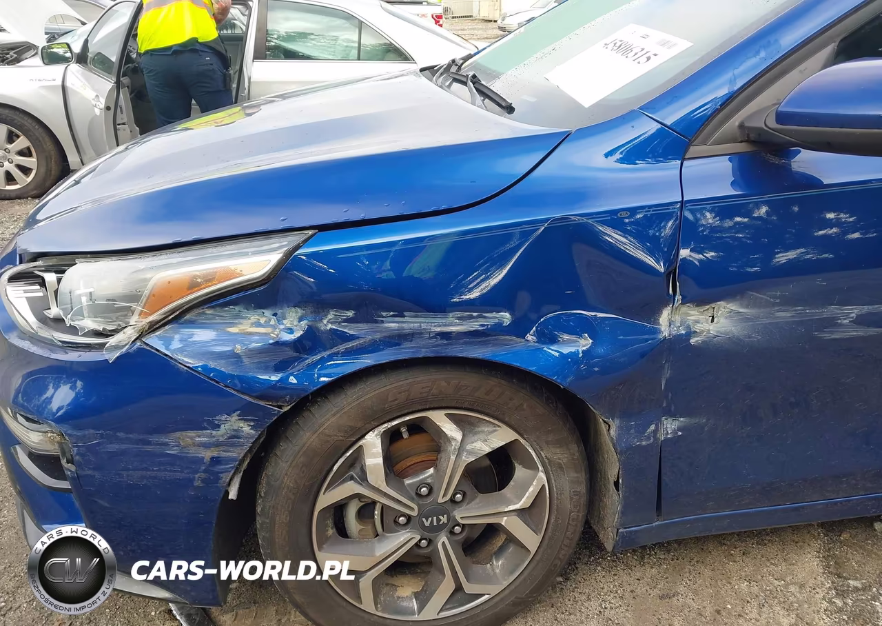 2019 Kia Forte Lxs VIN:3KPF24AD3KE013770 - 6