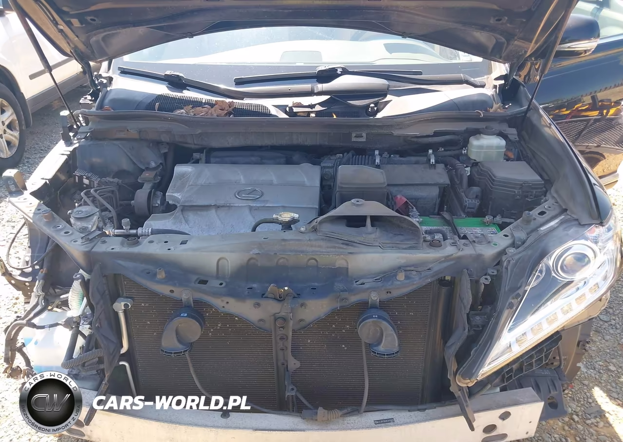 2014 Lexus Rx 350 VIN:JTJZK1BA3E2418476 - 10