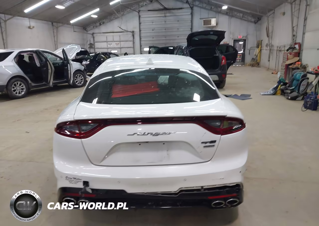 2020 Kia Stinger Gt-Line VIN:KNAE15LA7L6075796 - 17