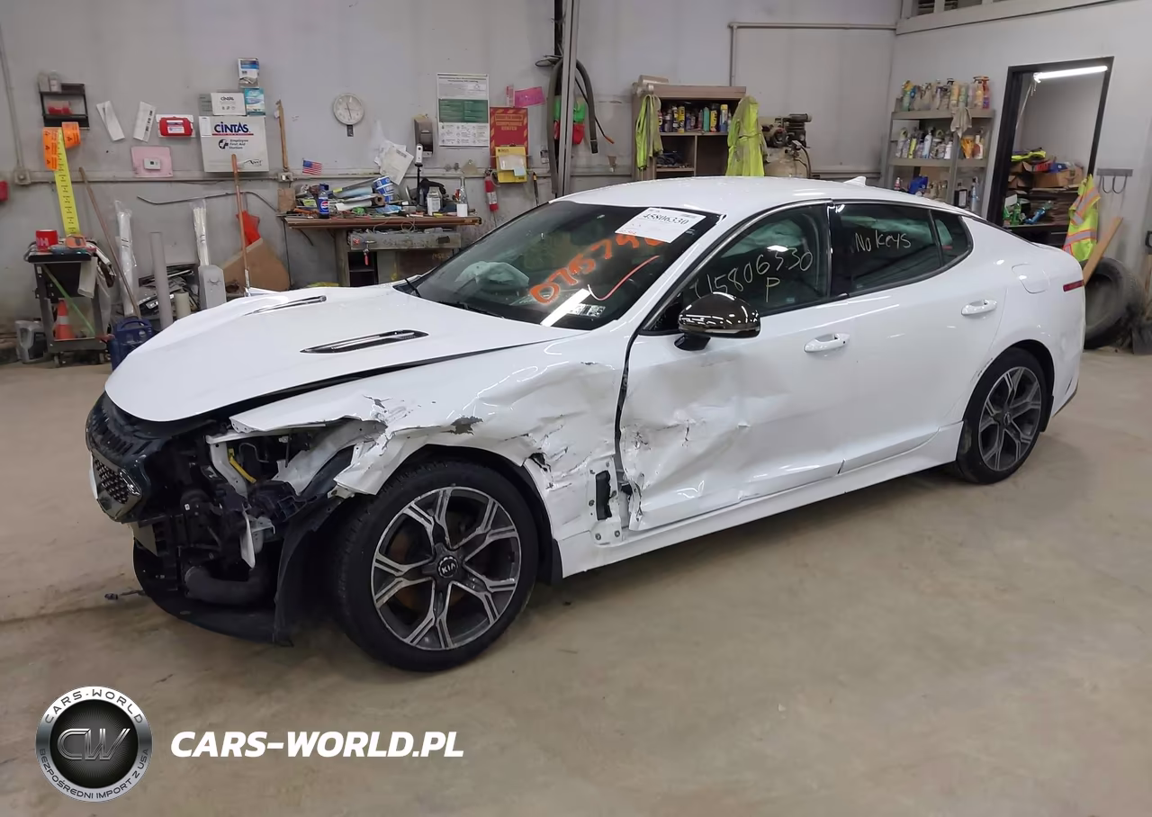 2020 Kia Stinger Gt-Line VIN:KNAE15LA7L6075796 - 2