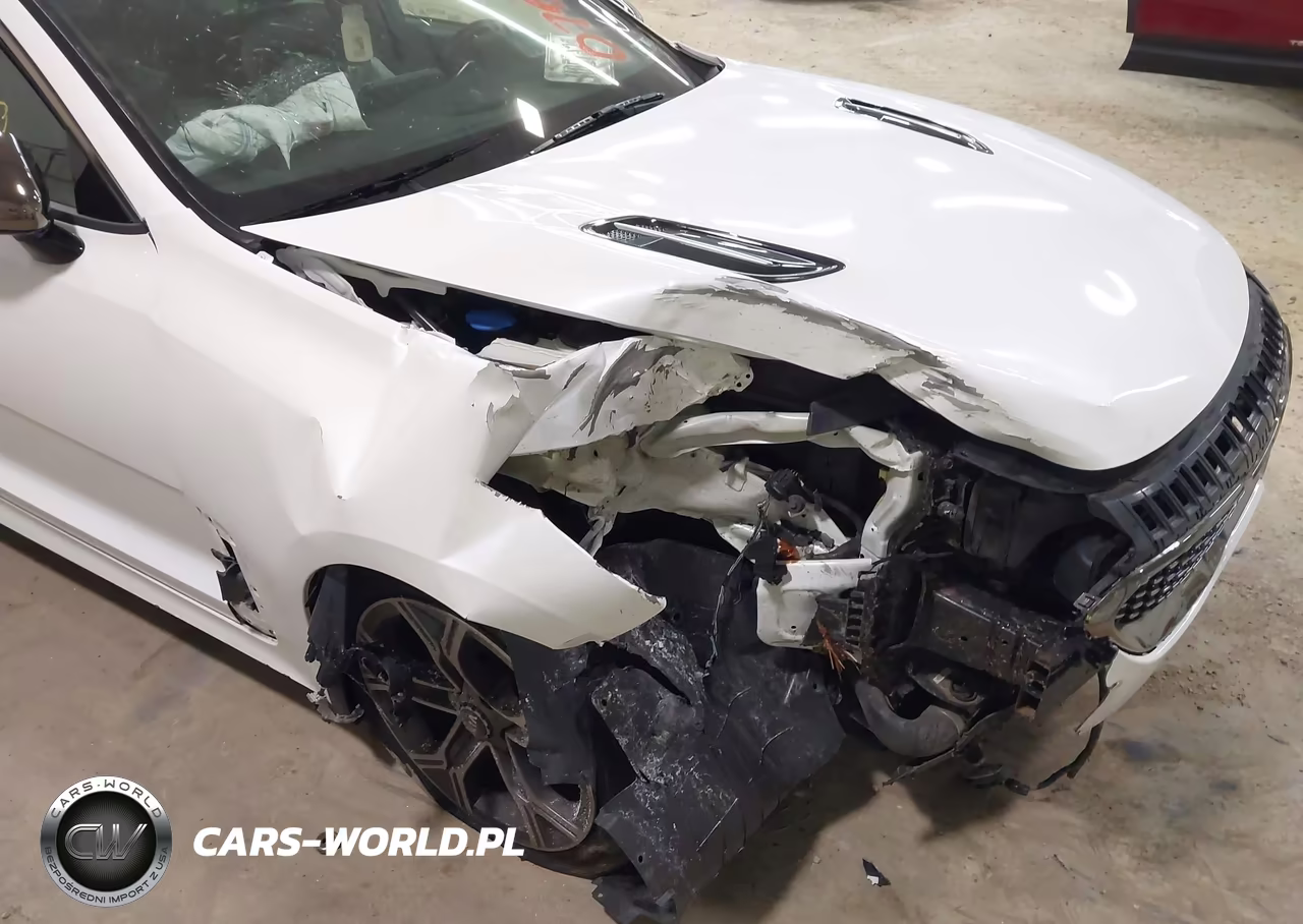 2020 Kia Stinger Gt-Line VIN:KNAE15LA7L6075796 - 22