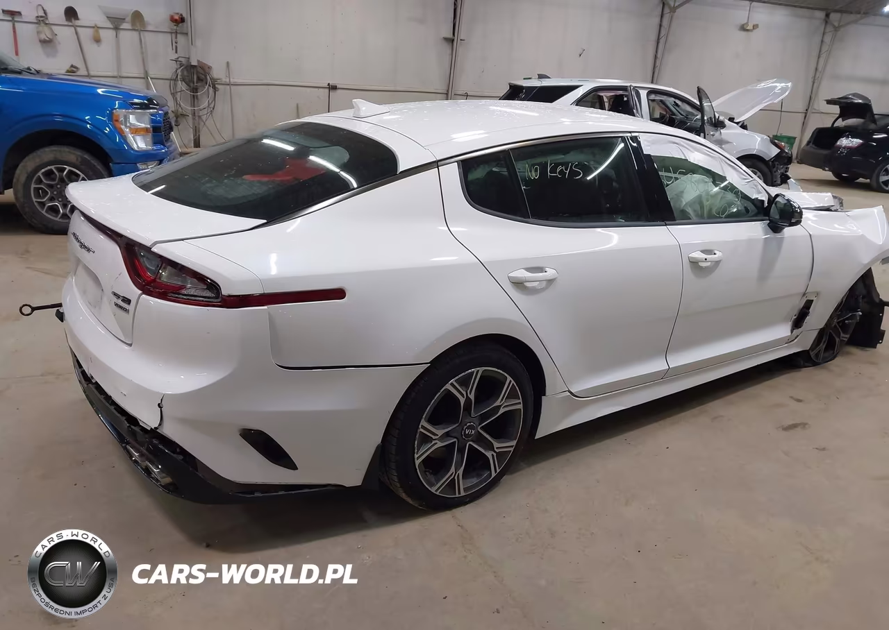 2020 Kia Stinger Gt-Line VIN:KNAE15LA7L6075796 - 4