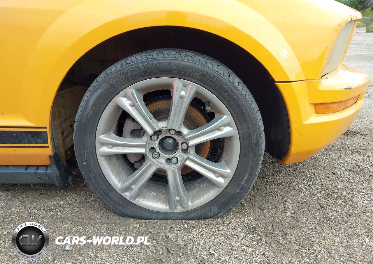 2007 Ford Mustang V6 Deluxe-V6 Premium VIN:1ZVHT80N175215367 - 12