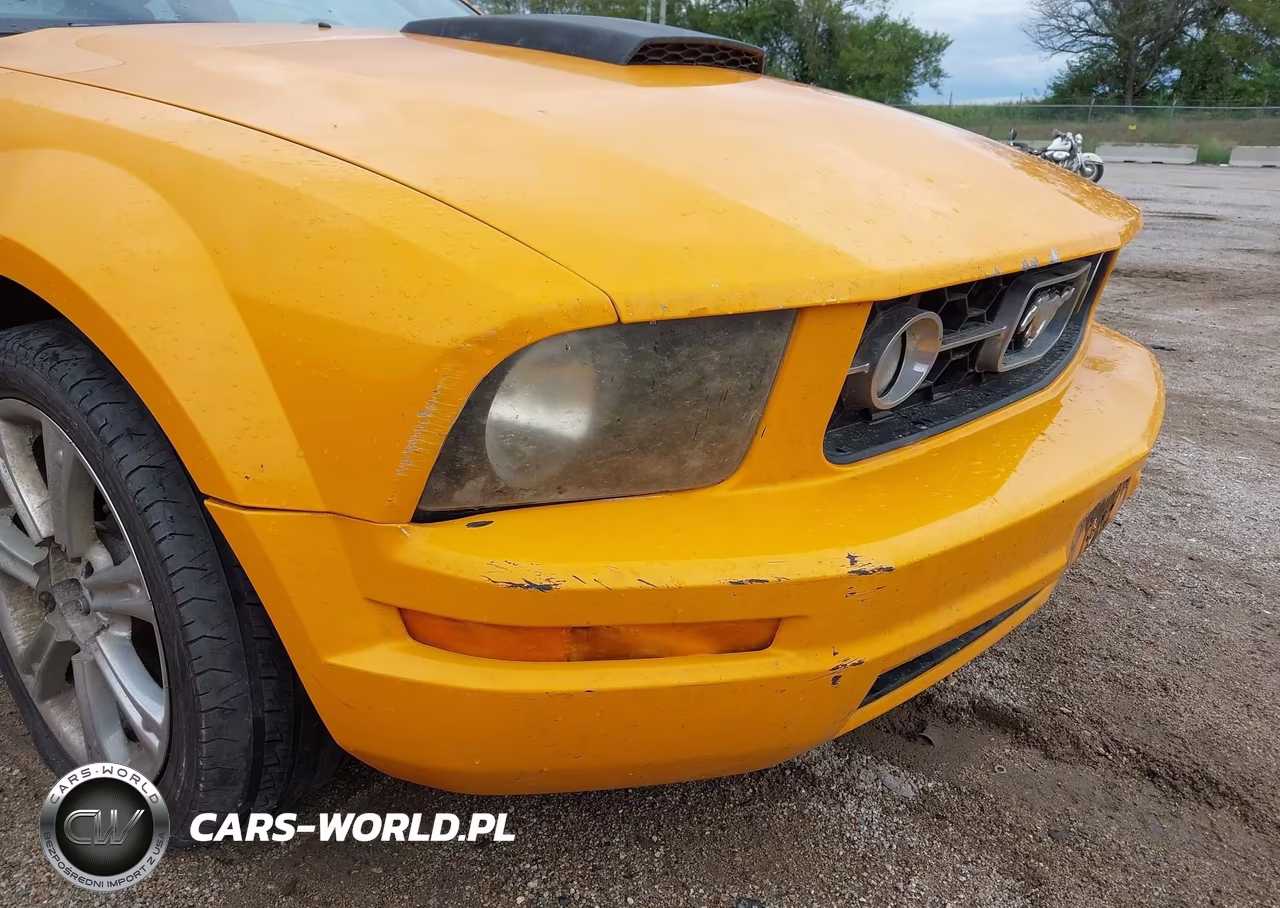 2007 Ford Mustang V6 Deluxe-V6 Premium VIN:1ZVHT80N175215367 - 6