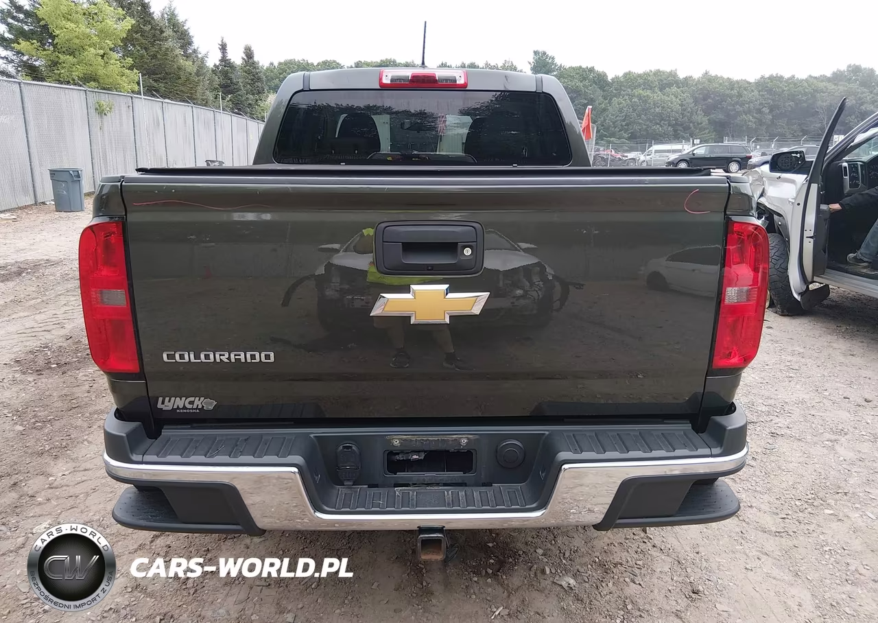 2018 Chevrolet Colorado Wt VIN:1GCGSBEA9J1176899 - 16