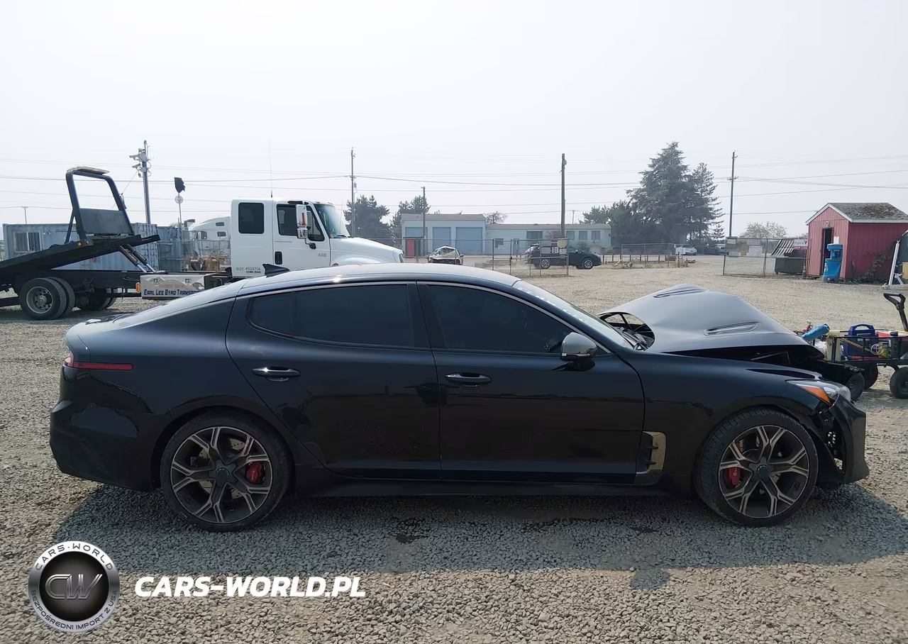 2021 Kia Stinger Gt VIN:KNAE35LC0M6096616 - 13