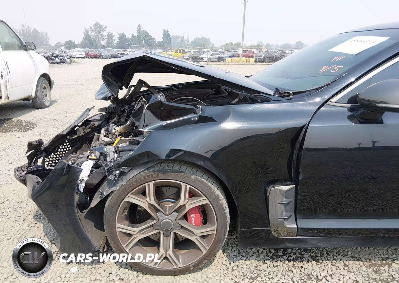 2021 Kia Stinger Gt VIN:KNAE35LC0M6096616 - 17