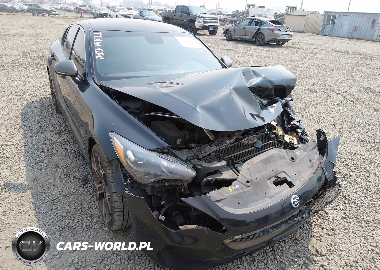 2021 Kia Stinger Gt VIN:KNAE35LC0M6096616 - 20