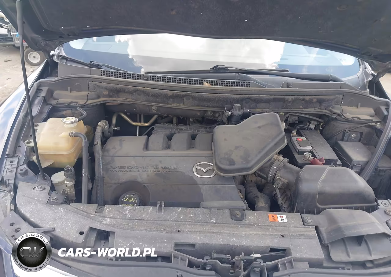 2009 Mazda Cx-9 Touring VIN:JM3TB38AX90176774 - 10