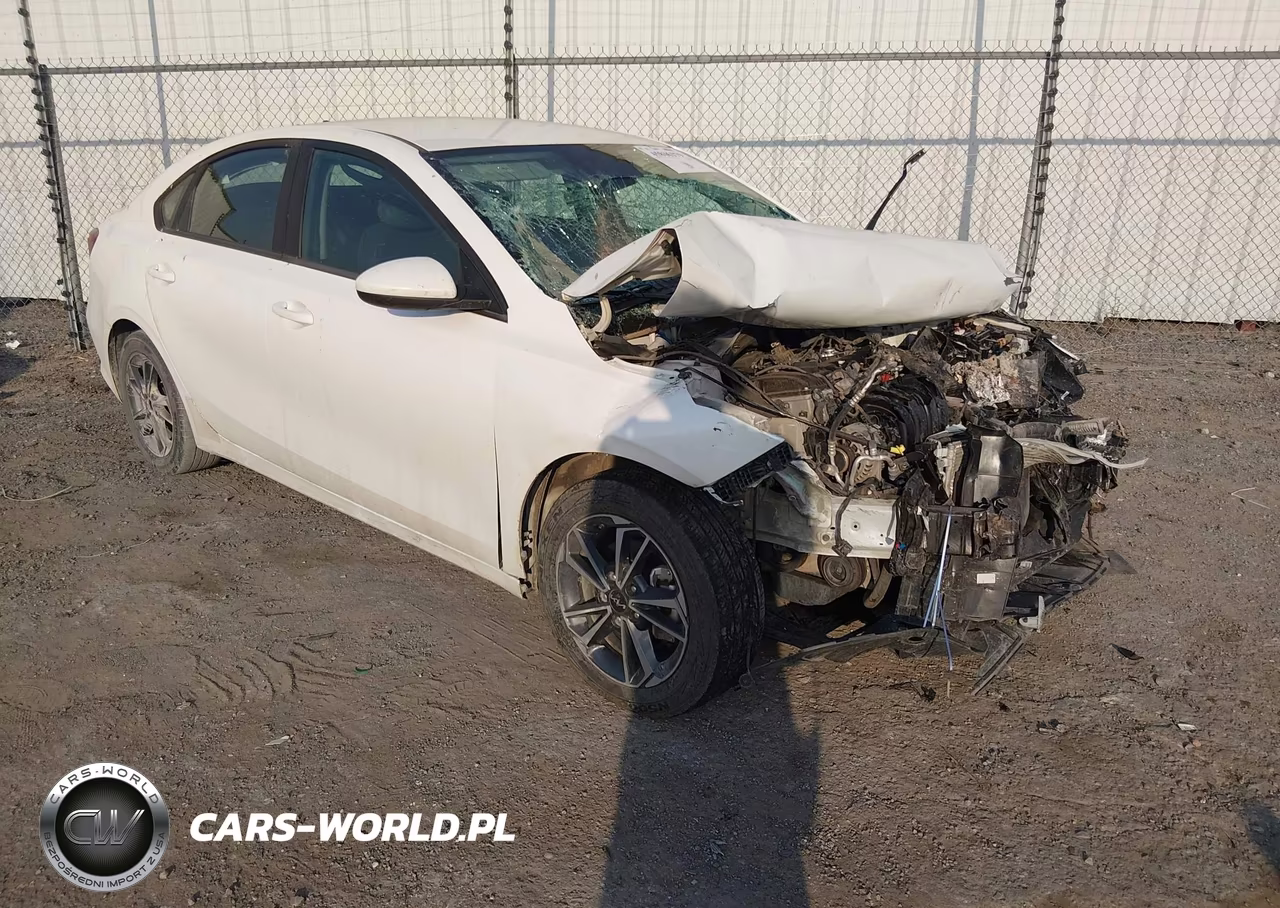 2022 Kia Forte Lxs VIN:3KPF24AD6NE485028 - 1