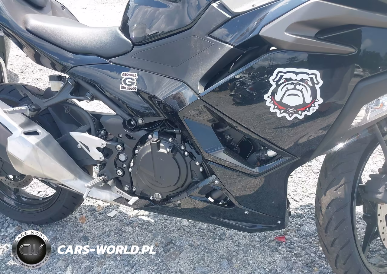 2024 Kawasaki Ex500 H VIN:ML5EXGH19RDA27501 - 8