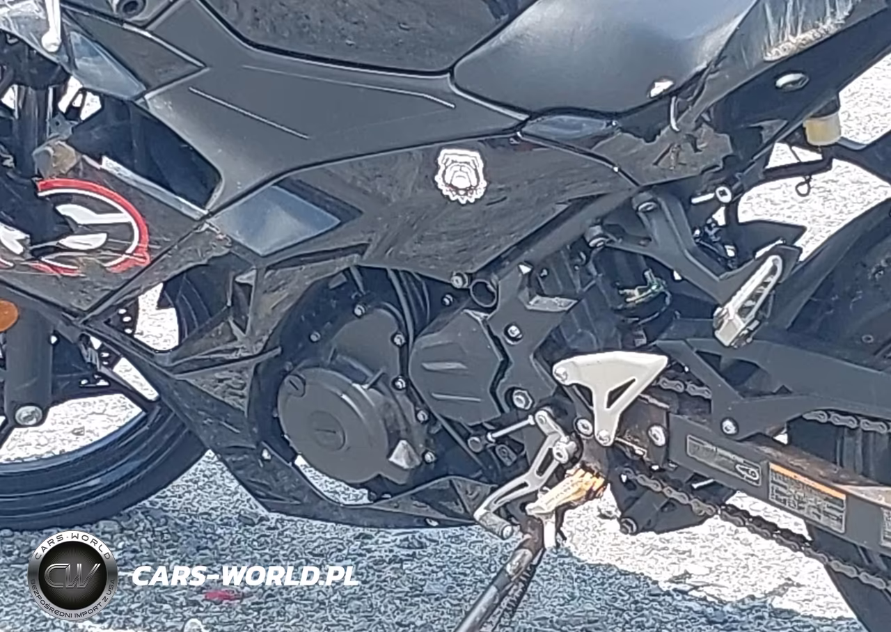 2024 Kawasaki Ex500 H VIN:ML5EXGH19RDA27501 - 9