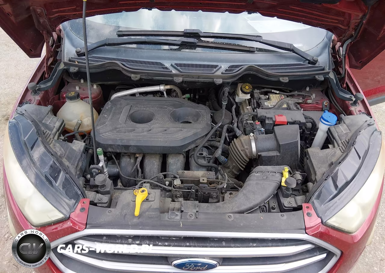 2019 Ford Ecosport Se VIN:MAJ6S3GL4KC301173 - 10