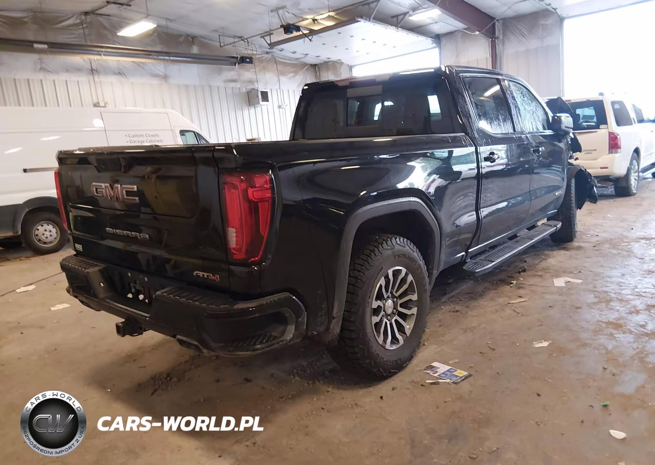 2020 GMC Sierra 1500 4Wd Standard Box At4 VIN:3GTP9EEL8LG155982 - 4