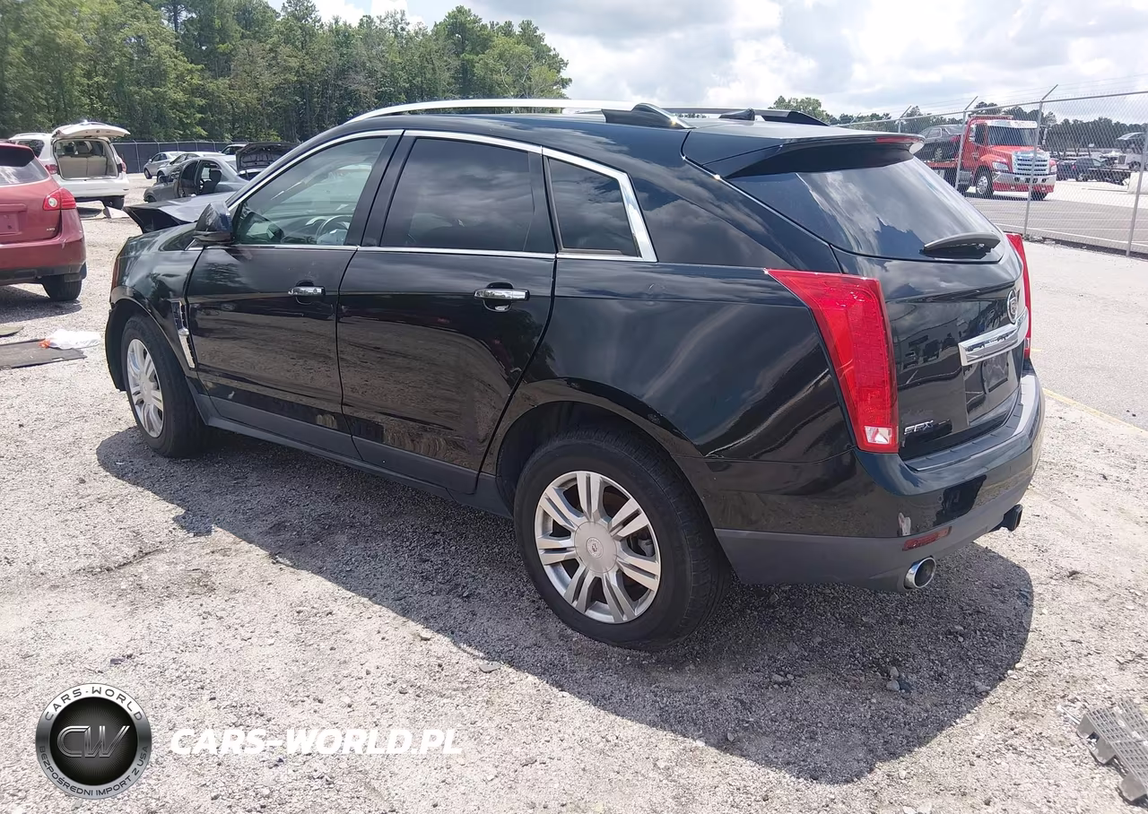 2010 Cadillac Srx Luxury Collection VIN:3GYFNAEYXAS581446 - 3