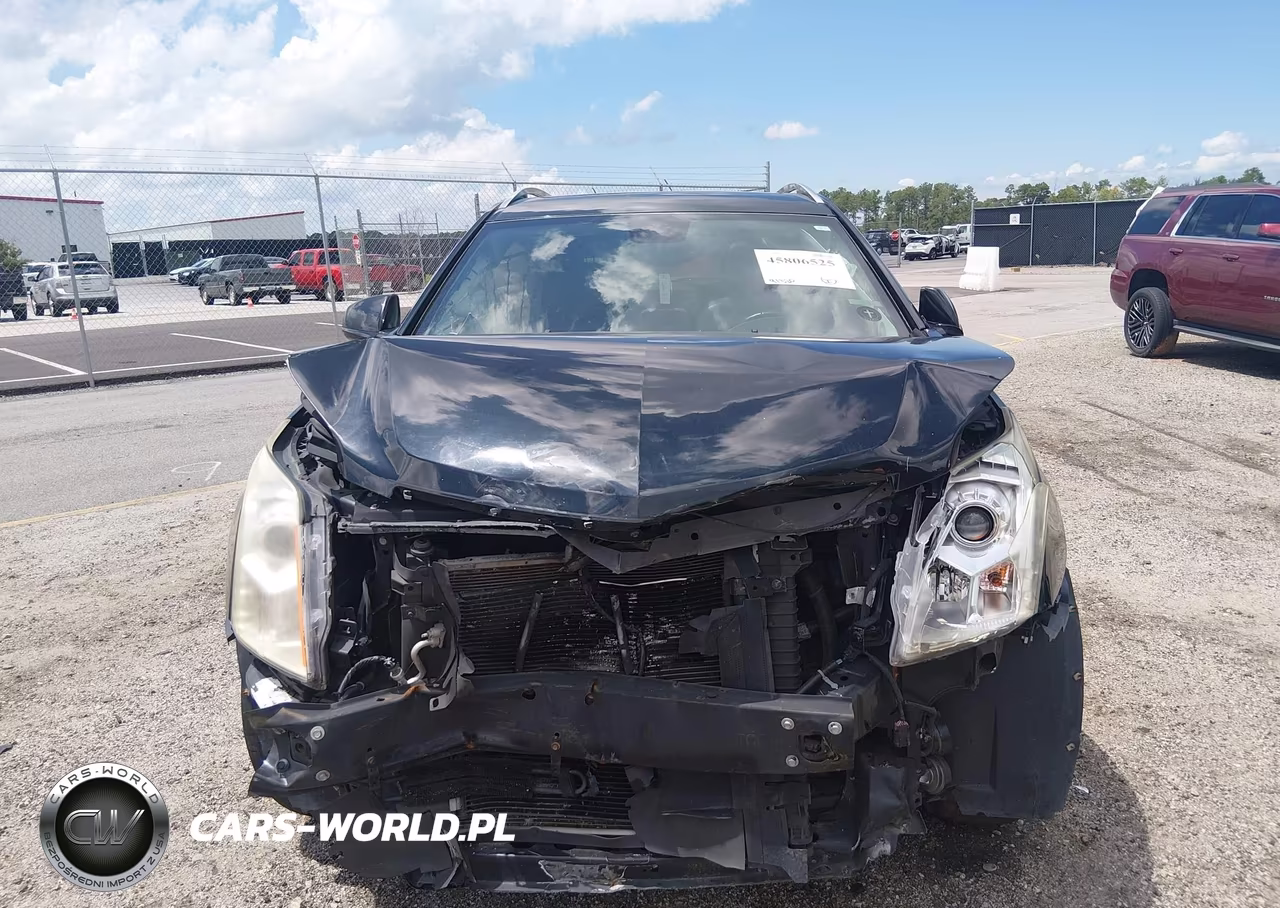 2010 Cadillac Srx Luxury Collection VIN:3GYFNAEYXAS581446 - 6