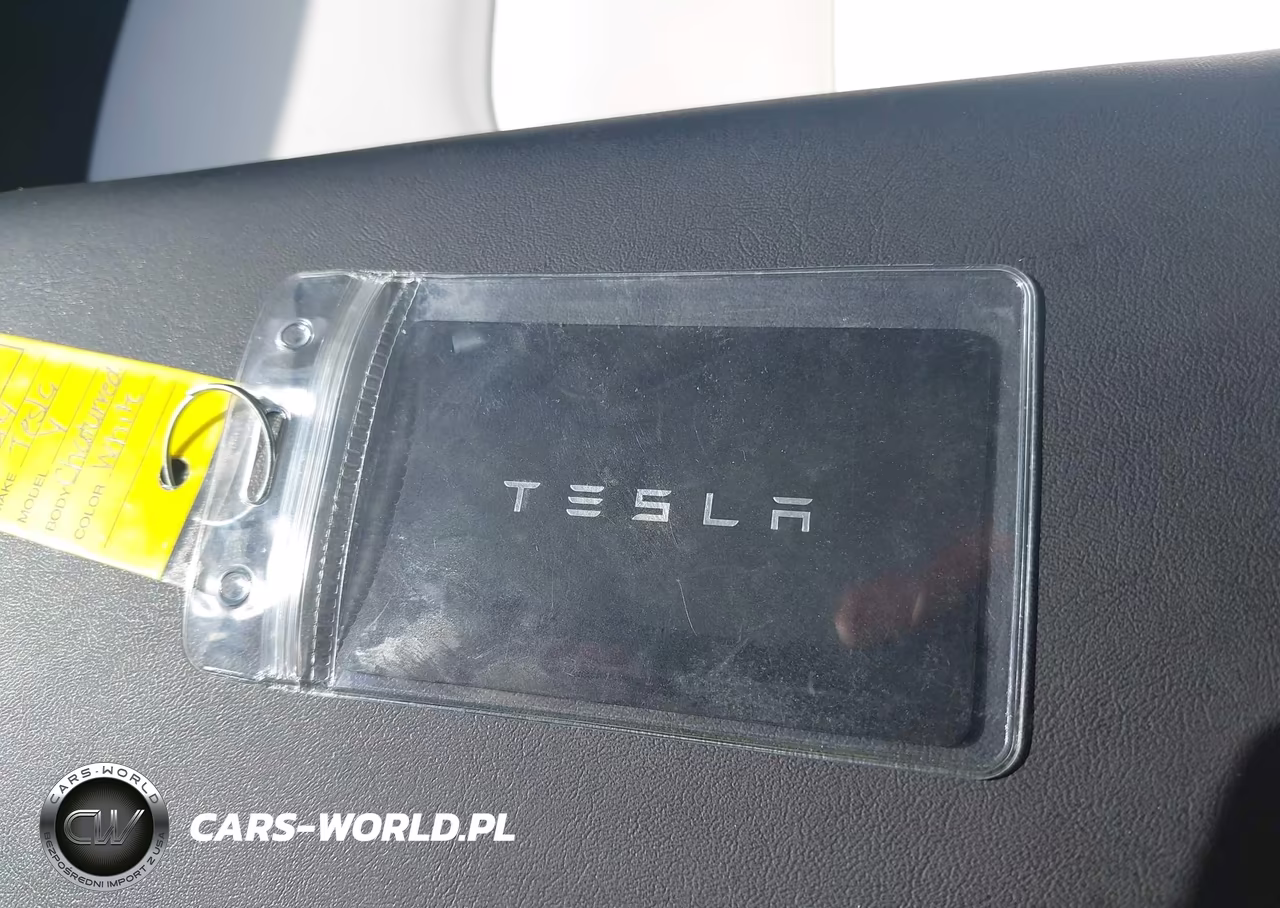 2024 Tesla Model Y Long Range Dual Motor All-Wheel Drive VIN:7SAYGDEE3RA220077 - 11