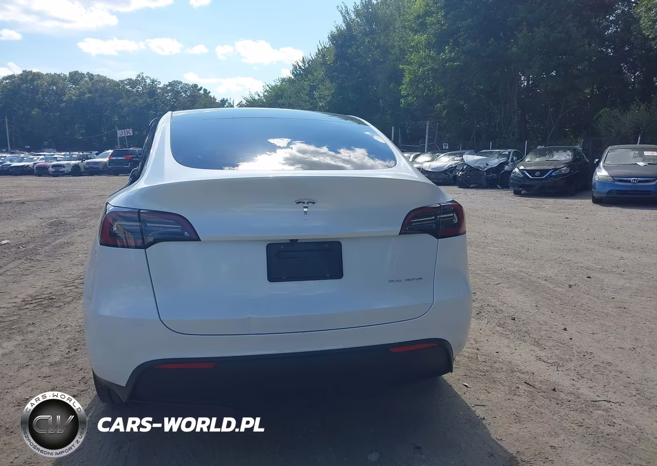 2024 Tesla Model Y Long Range Dual Motor All-Wheel Drive VIN:7SAYGDEE3RA220077 - 17