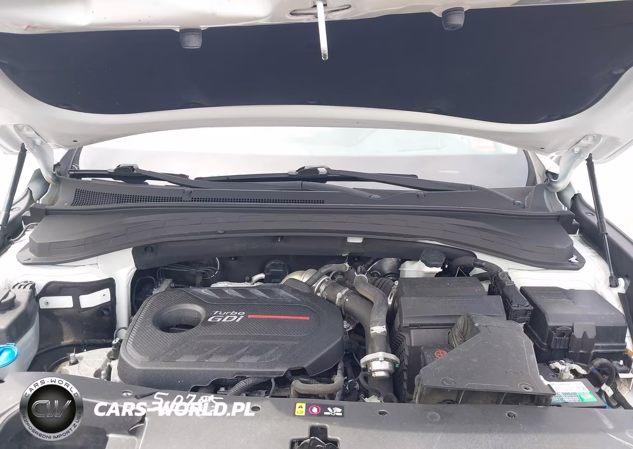 2019 Hyundai Santa Fe Ultimate 2.0T VIN:5NMS5CAA9KH017014 - 10