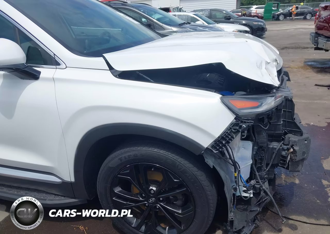 2019 Hyundai Santa Fe Ultimate 2.0T VIN:5NMS5CAA9KH017014 - 19