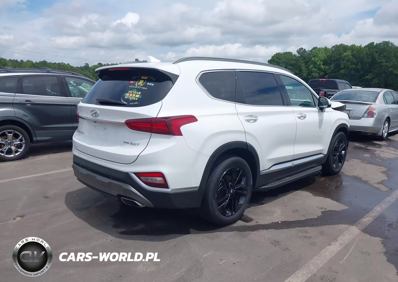 2019 Hyundai Santa Fe Ultimate 2.0T VIN:5NMS5CAA9KH017014 - 4