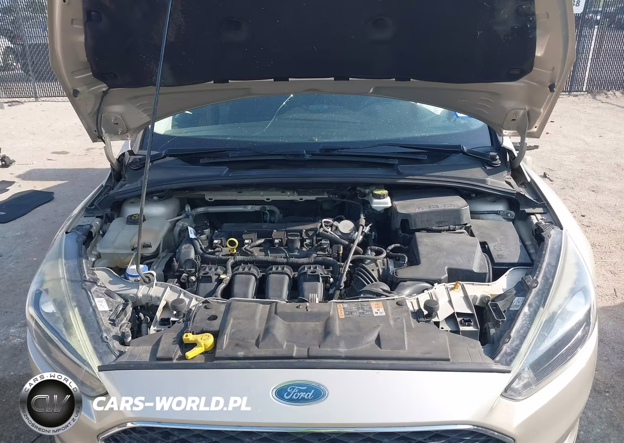 2018 Ford Focus Sel VIN:1FADP3H21JL216630 - 10