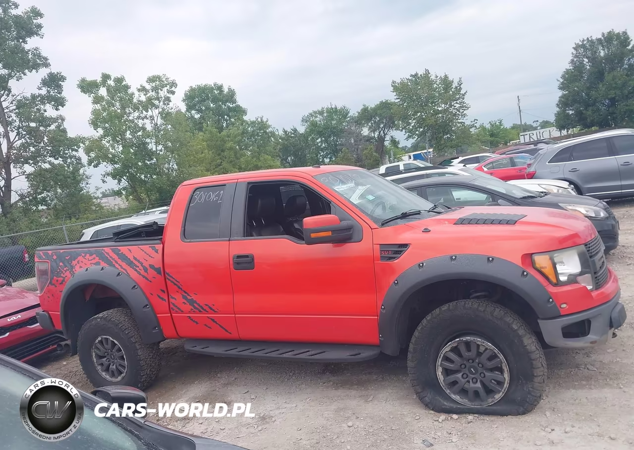 2010 Ford F-150 Svt Raptor VIN:1FTEX1EV8AFA00077 - 13