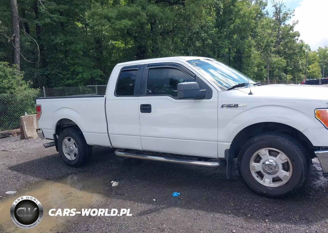 2014 Ford F-150 Xlt VIN:1FTFX1CF2EKE32273 - 13