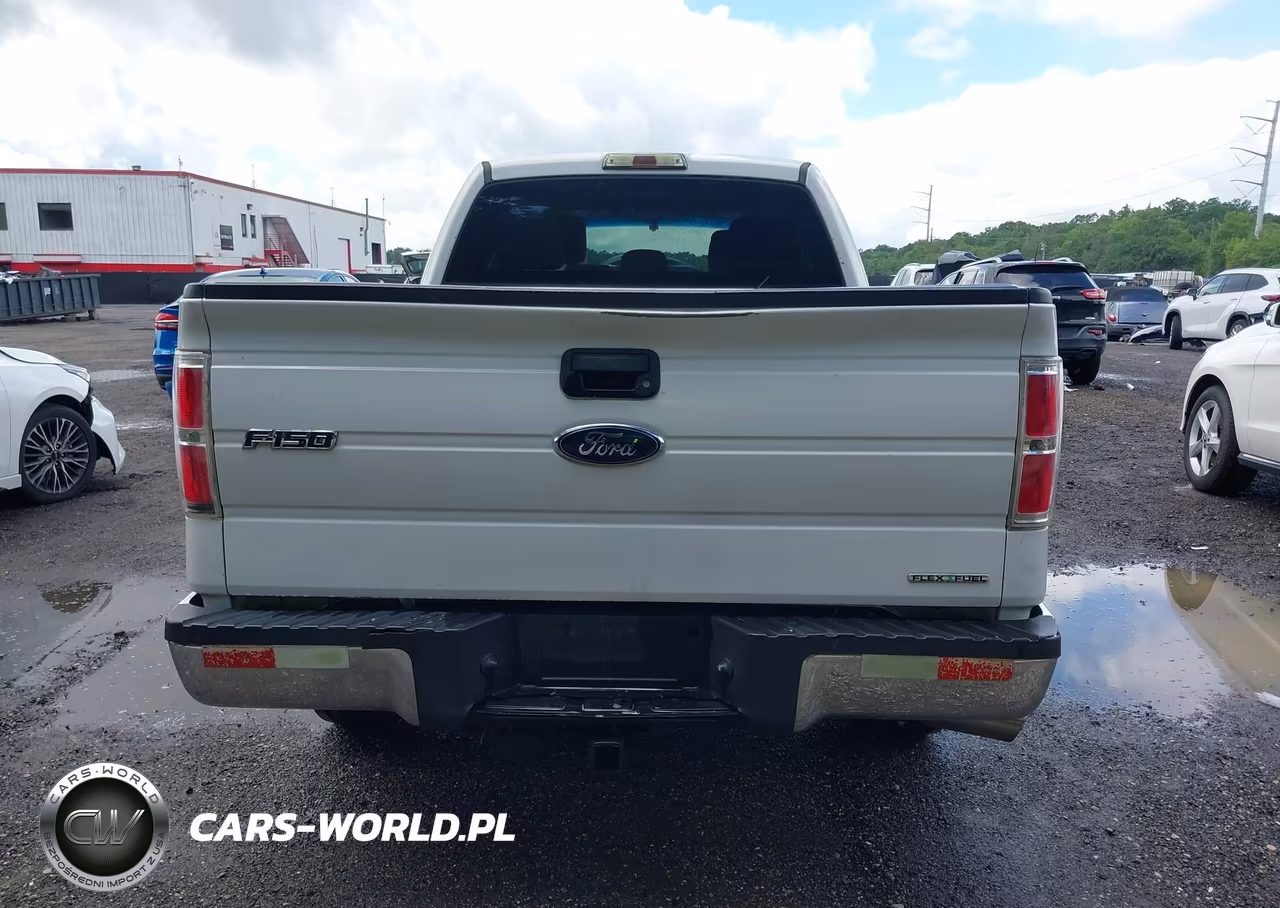 2014 Ford F-150 Xlt VIN:1FTFX1CF2EKE32273 - 16