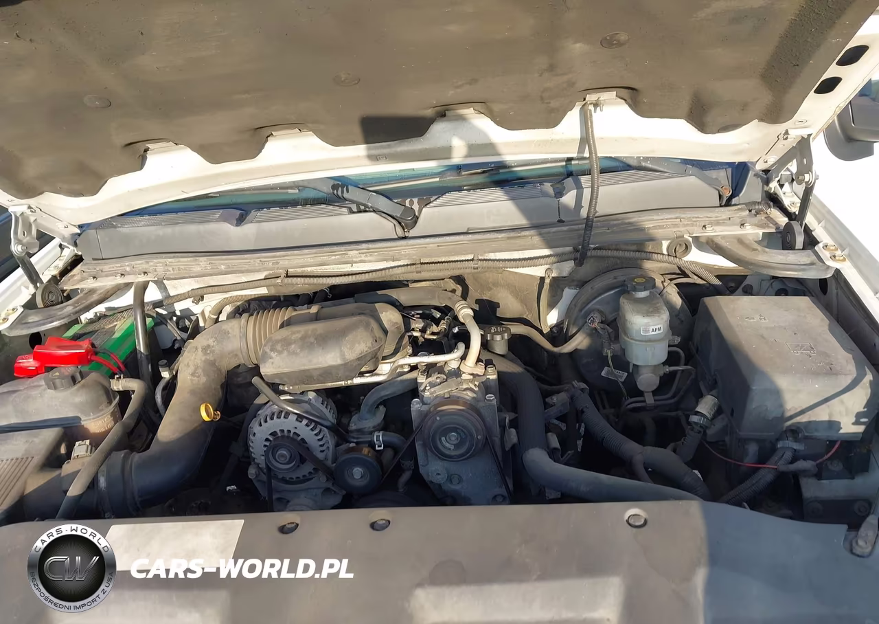 2013 Chevrolet Silverado 1500 Work Truck VIN:1GCNCPEXXDZ185946 - 10