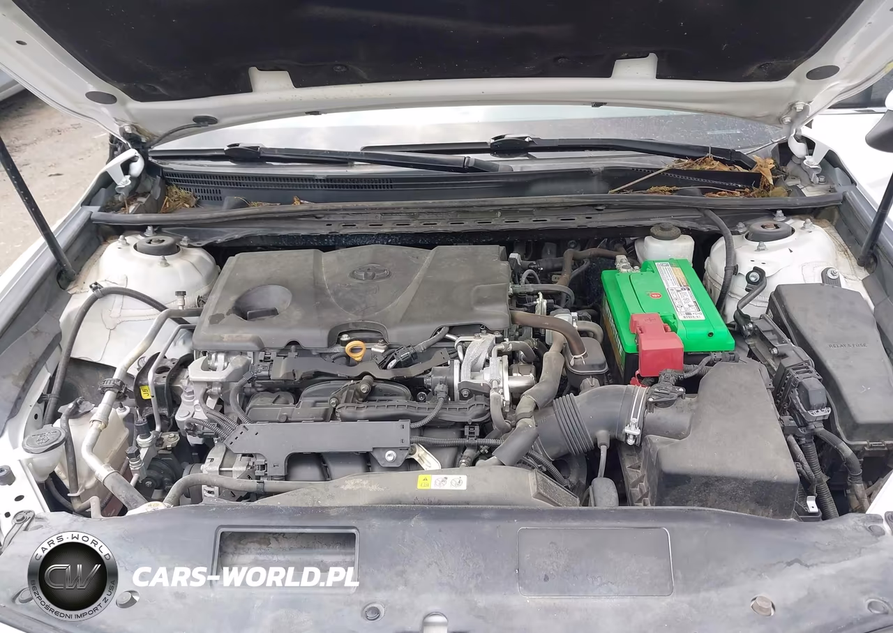 2019 Toyota Camry Se VIN:4T1B11HKXKU273617 - 10